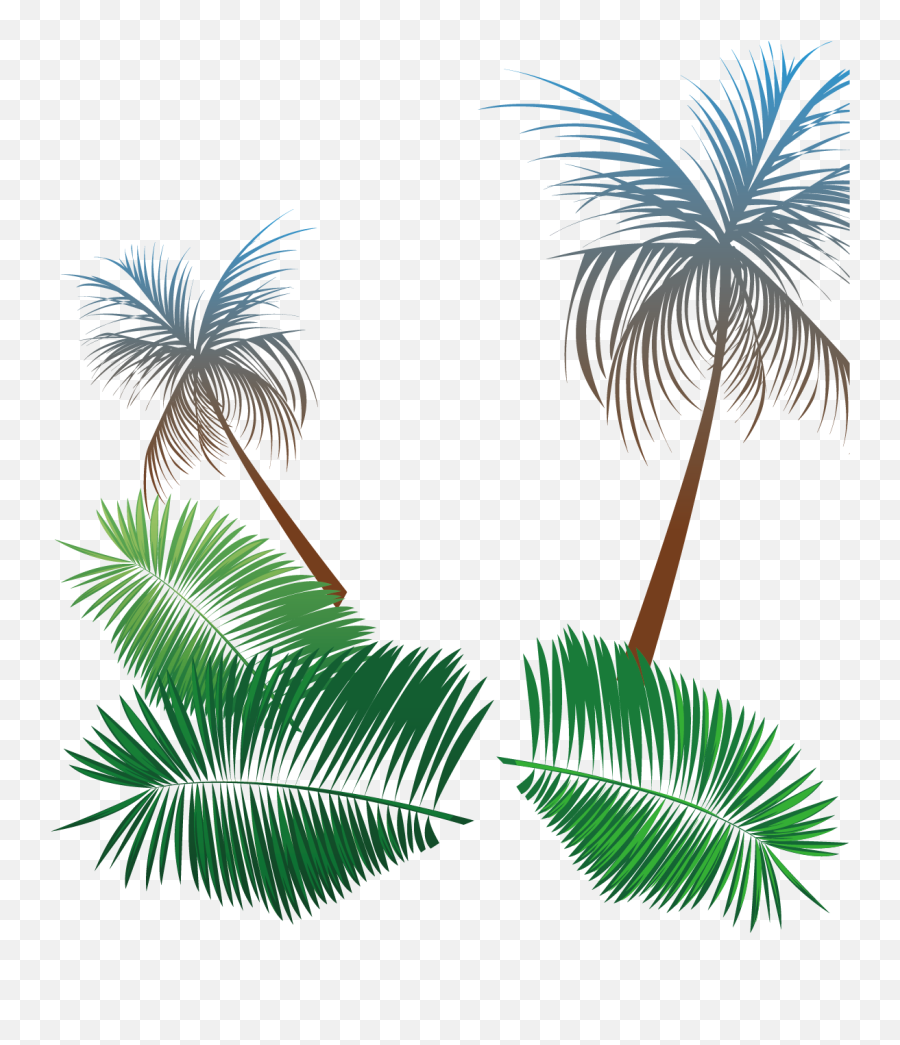 Download Hd Svg Transparent Library Beach Coconut Tree - Summer Palm Vector Png,Summer Transparent Background