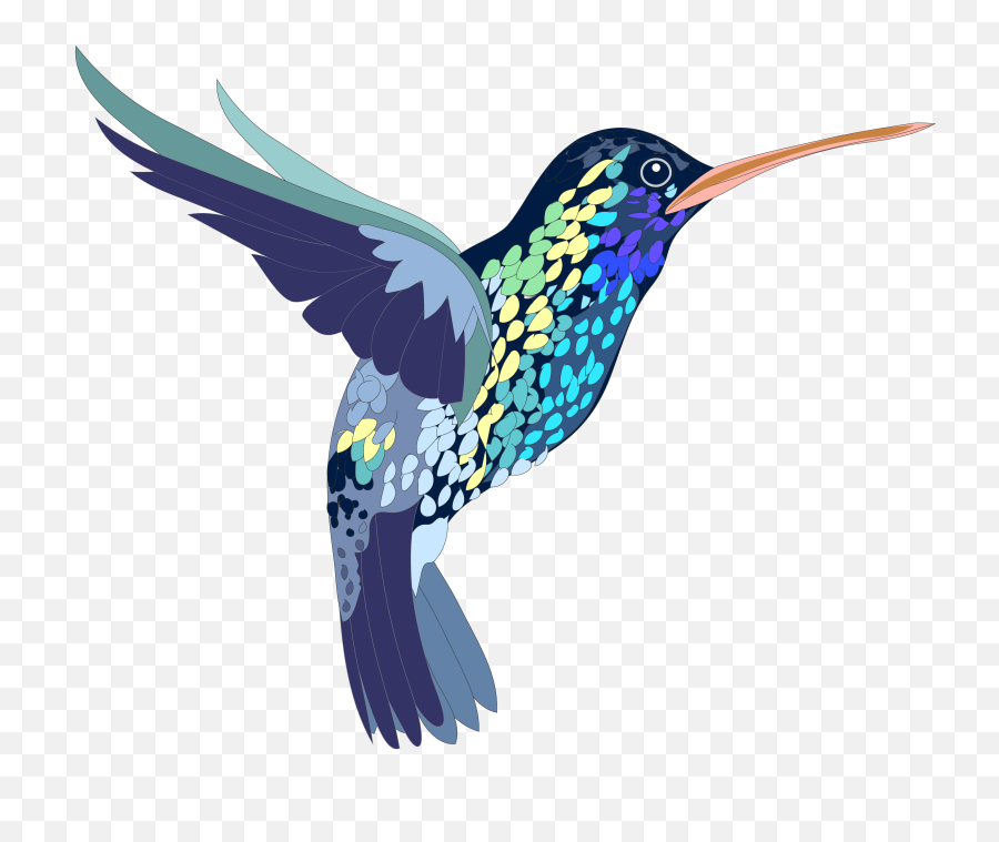 Png Bird Hummingbird Colorful - Humming Bird Png,Hummingbird Png