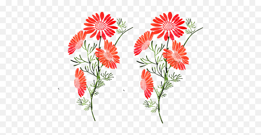 Orange Flowers - Floral Png,Orange Flower Png