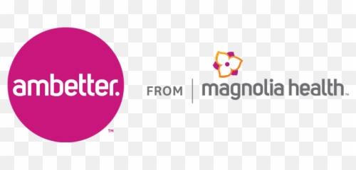 Mississippi Insurance Department - Ambettermagnolia Silver Summit Health Plan Png,Magnolia Market Logo