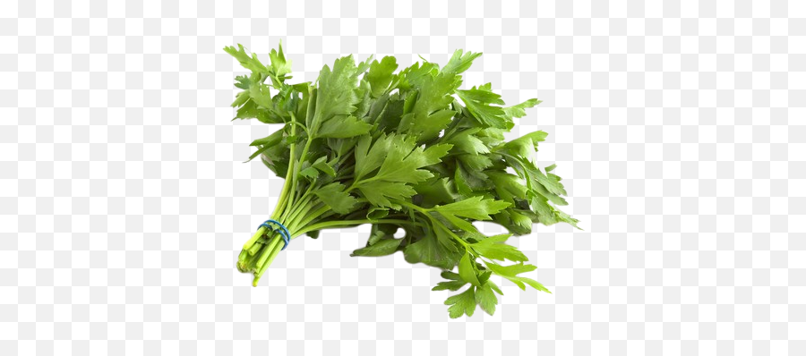 Fresh Herbs Jourifoods - Parsley Leaf Png,Parsley Png