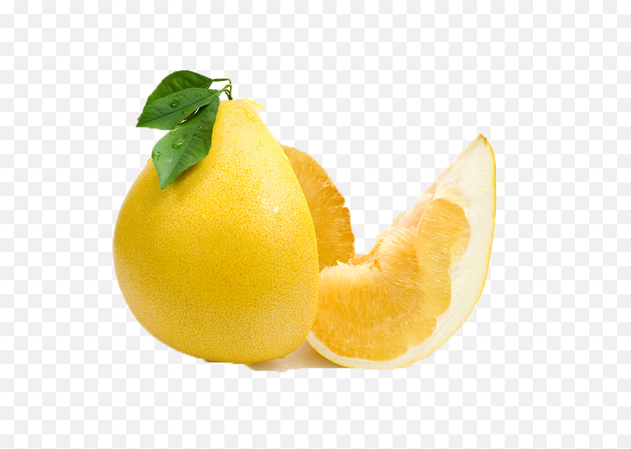 Download Common Citrus Fruit Png Free Pngs For Commercial Use