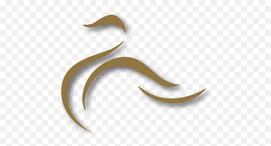 Contact Us - Golden Swan Logo Png,Swan Logo