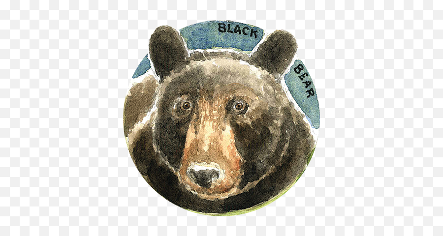 Habitat And Wildlife North Coast Land Conservancy - American Black Bear Png,Animal Den Icon