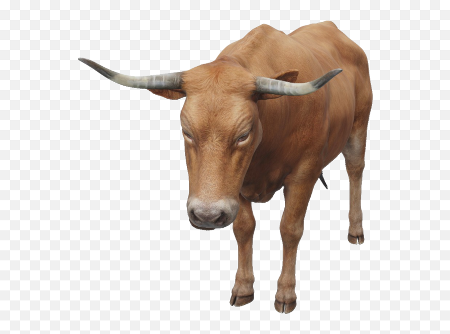 Google 3d Animals U0026 Ar Objects Full List Gallery - Ox Png,Longhorn Cattle Icon