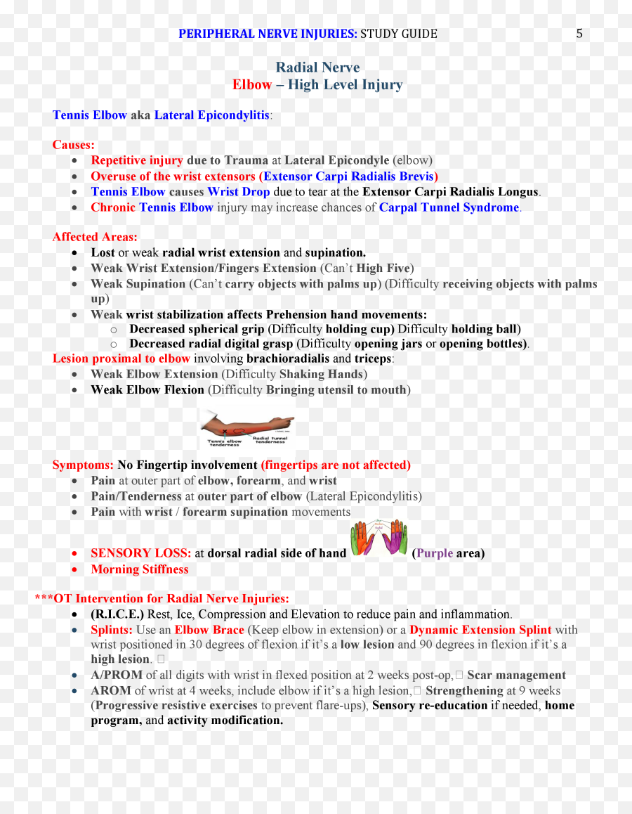 Peripheral Nerve Injuries Study Guide - Screenshot Png,Page Tear Png