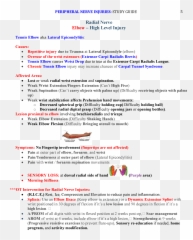Peripheral Nerve Injuries Study Guide - Screenshot png
