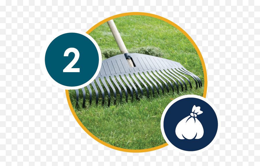 8 Tips To Protect Your Home Riversidecagov - Artificial Turf Png,Dead Grass Png