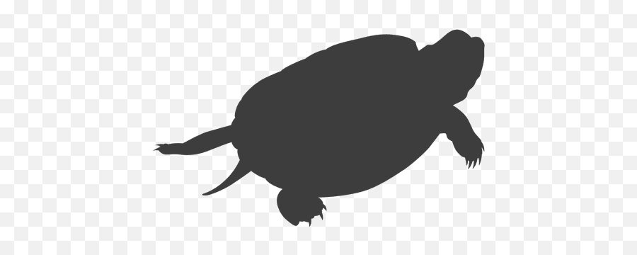 Transparent Png Svg Vector File - Land Turtle Silhouette Png,Cute Turtle Png