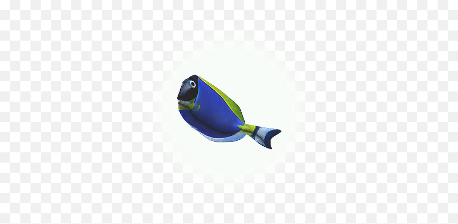 Bdo Blue Tang Knowledge Database Guide - Blue Tang Png,Dory Icon
