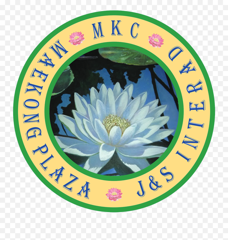 Islandtelcoltd Uislandtel - Reddit Monareta Png,Water Lily Icon