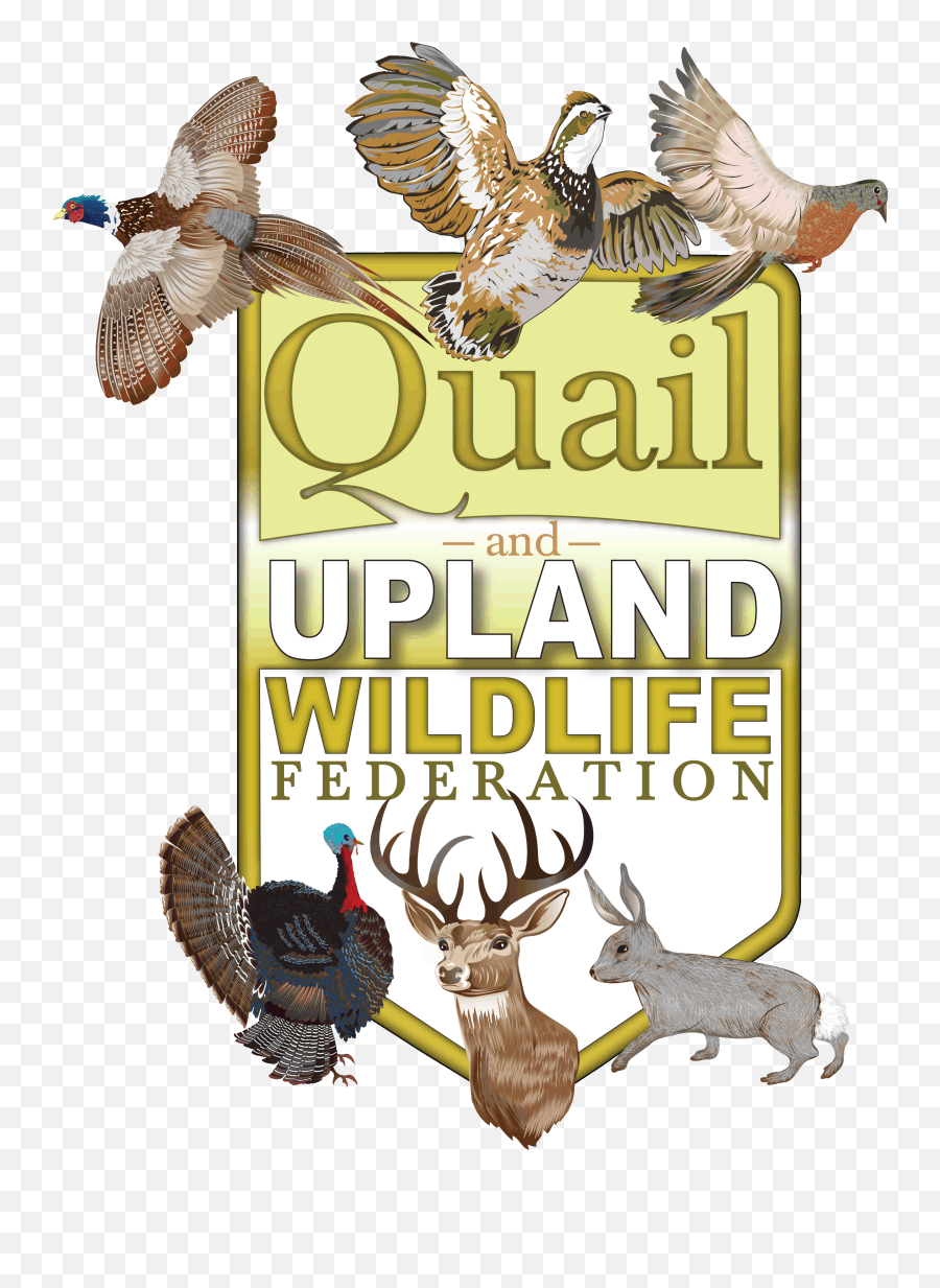 2020 Yvquwf Fundraiser Powered By Givesmart - Quail And Upland Wildlife Federation Logo Png,Quail Icon