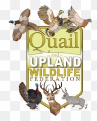 2020 Yvquwf Fundraiser Powered By Givesmart - Quail And Upland Wildlife Federation Logo png