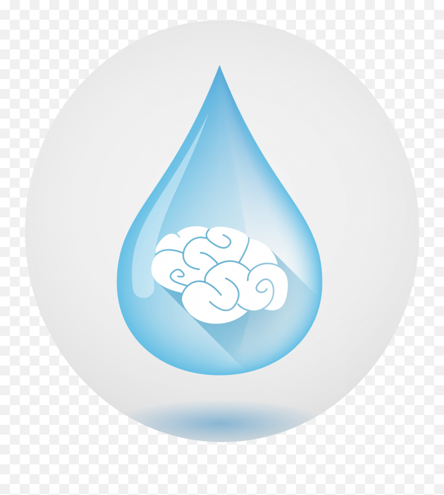 Waterscape The Numerical Of Brain Simula - Circle Png,Water Drop Logo