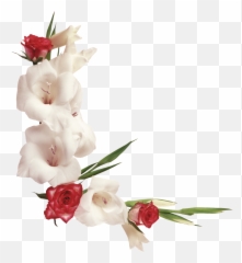 Ramos E Flores Png - Bordes De Flores Naturales,Flores Png