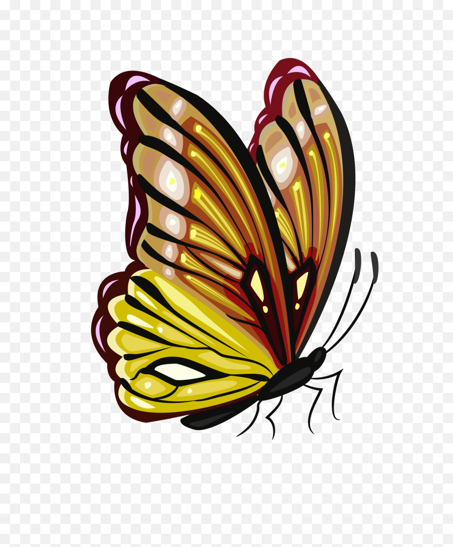Download Hd Monarch Butterfly Green - Butterfly Png Clipart,Monarch Butterfly Png