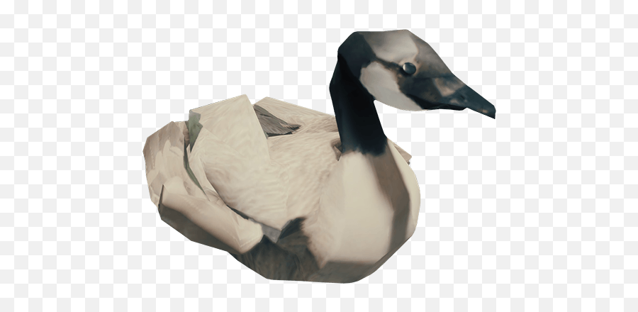 Goose - Forest Goose Head Png,Goose Png