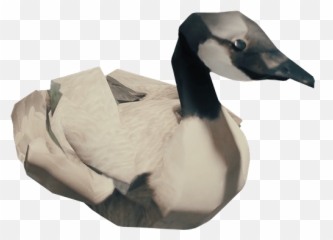 Goose - Forest Goose Head Png,Goose Png