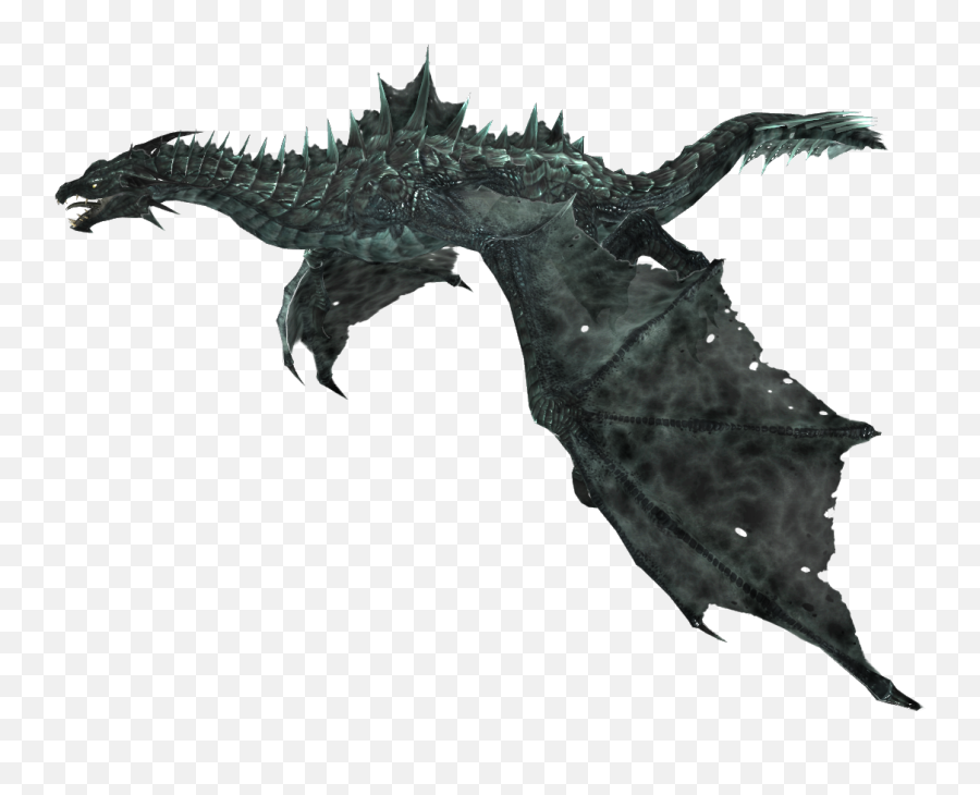 The Elder Scrolls V Skyrim Dragon Dark Souls Skeleton - Skyrim Dragon Png,Skyrim Png