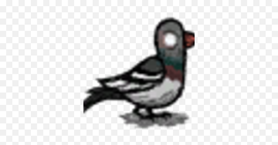 Birds Donu0027t Starve Game Wiki Fandom - Don T Starve Crow Png,Doves Flying Png