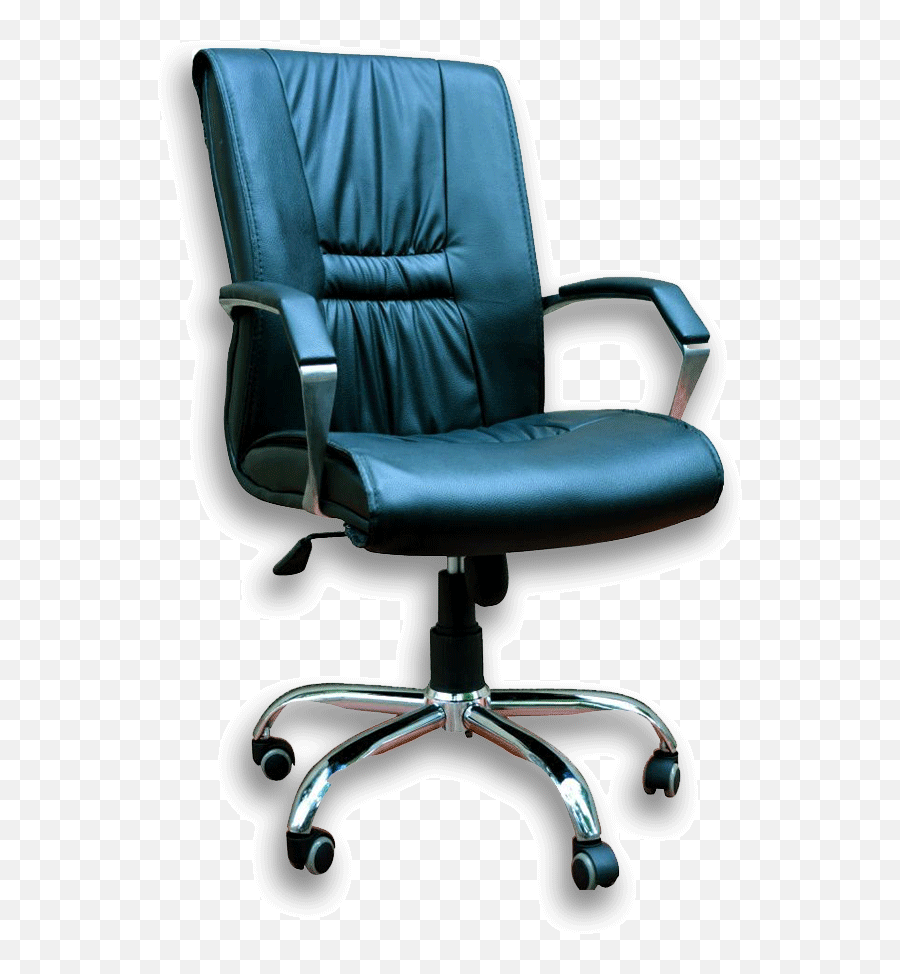 Director Chair 23 - Black Evaly Limited Online Shopping Chair Png,Director Chair Png