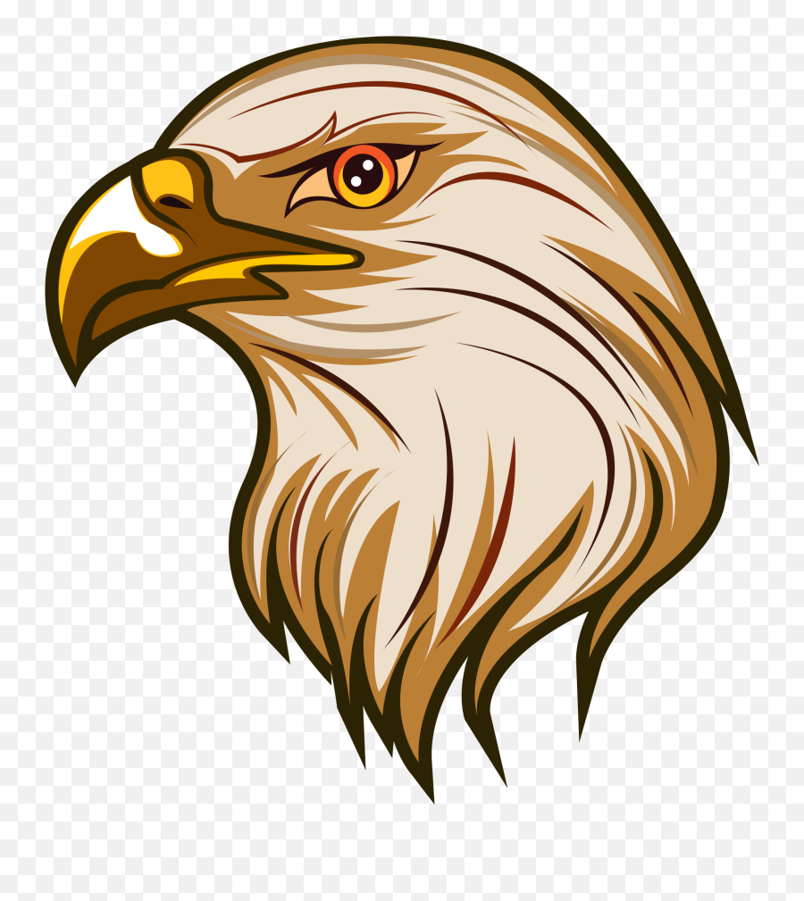 Eagle Clipart Png Image Free Download Searchpngcom - Eagle Clipart Png,Bald Eagle Head Png