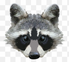 Download Raccoon Face Png Image - Sakhalin Husky