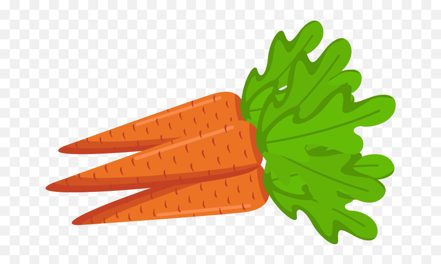 Carrot Png Transparent Free Images Only - Carrots Clipart Transparent Background,Vegetables Transparent Background