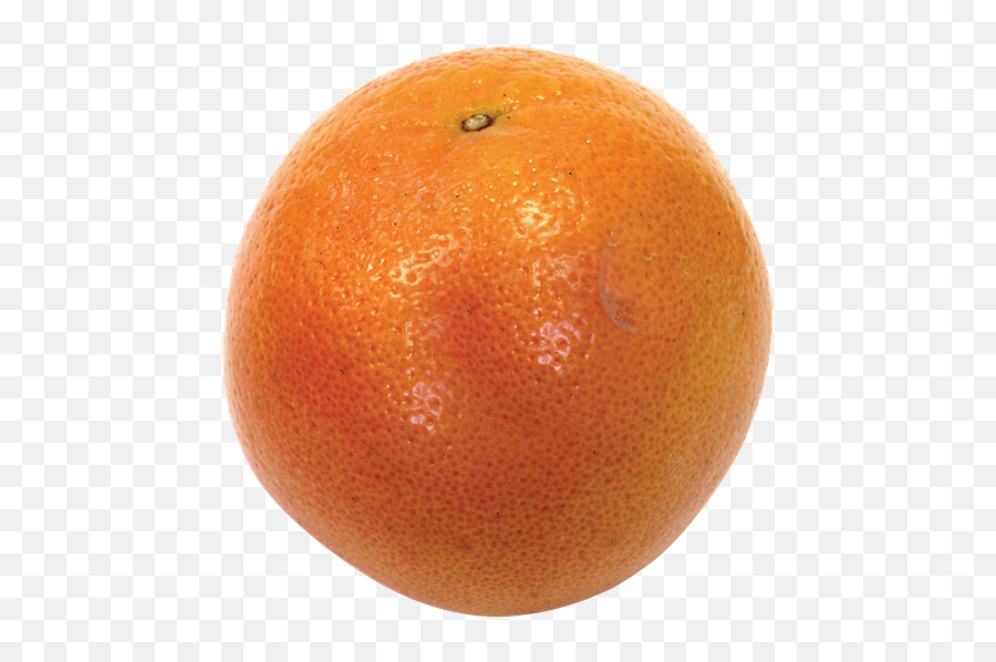 Deep Red Grapefruit - Blood Orange Png,Grapefruit Icon
