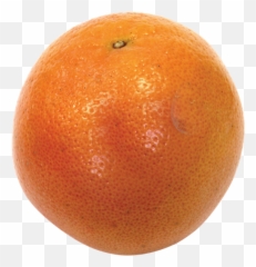 Deep Red Grapefruit - Blood Orange Png,Grapefruit Icon