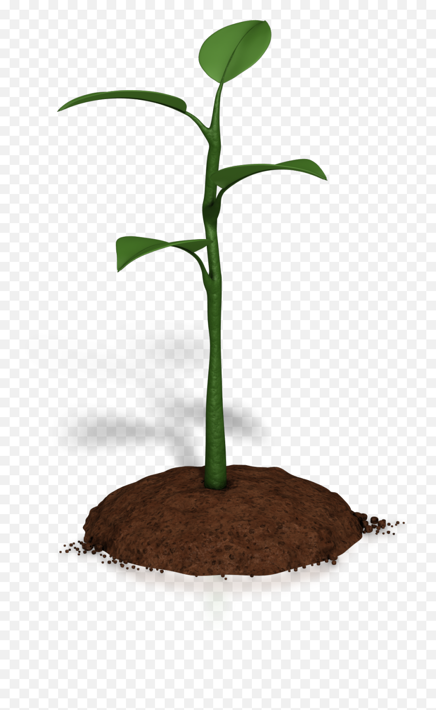 Soil Clipart Plant Growth - Plant Animations For Powerpoint Plant Growth Animation Png,Plant Png