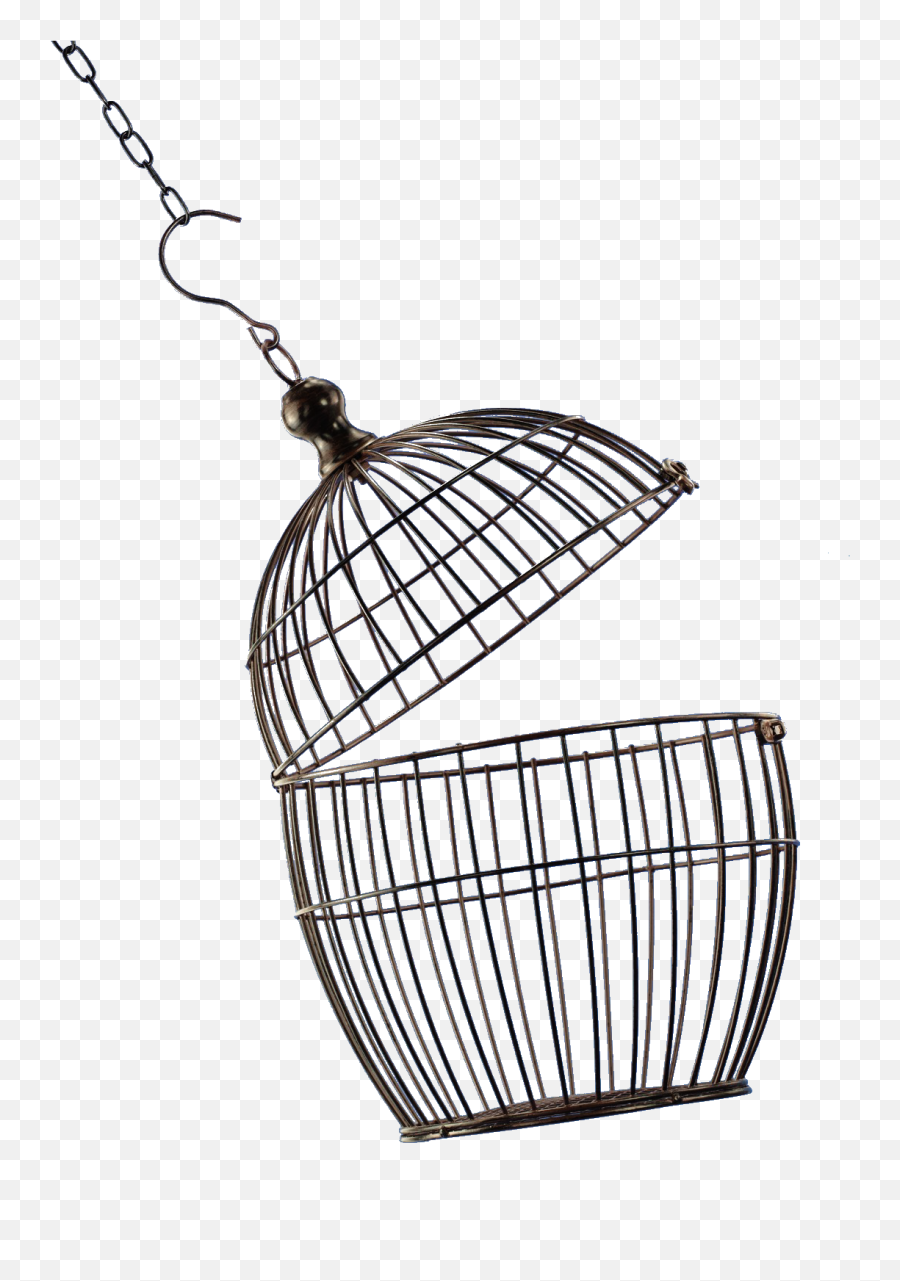 Open Bird Cage Png - Open Bird Cage Png,Cage Png