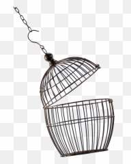 Open Bird Cage Png