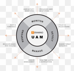 User Activity Monitoring - PC Teramind Dot png