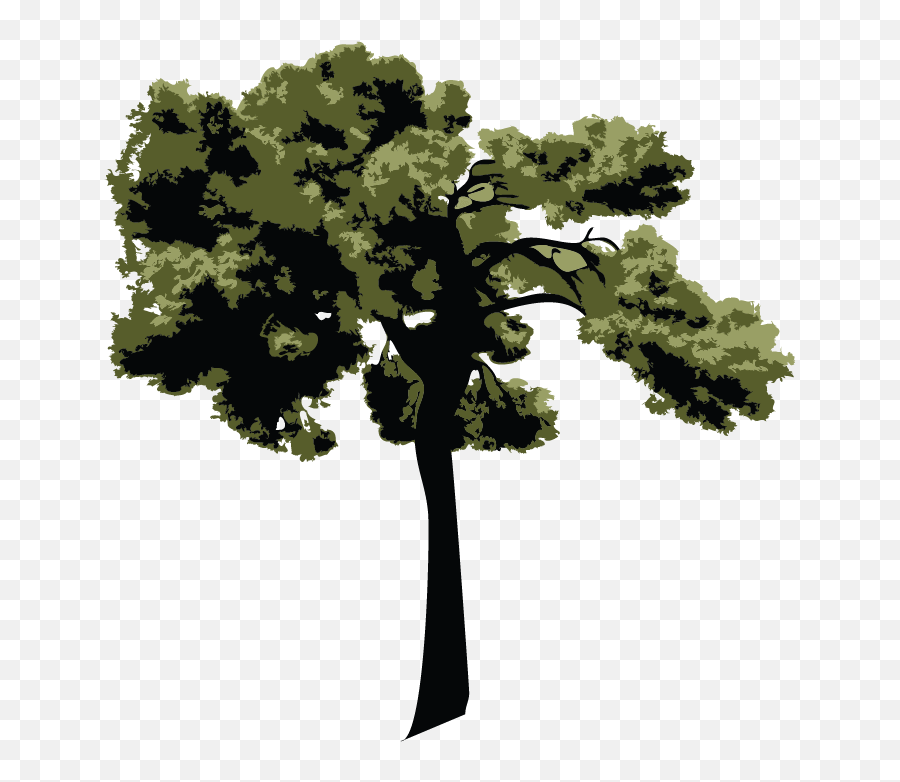 Tree Online Logo Template - Logo Png,Tree Logos