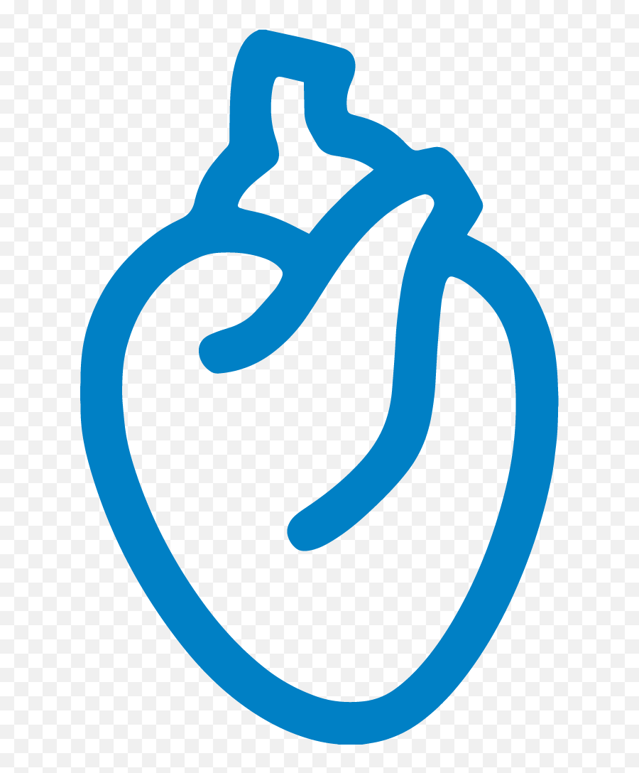 Itu0027s Safe To Get Care Rochester Regional Health - Heart Vector Organ Png,Shrekt Icon 16x16