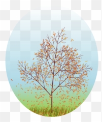 Javafx Jlink And Jpackage - DEV Community Art png
