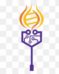 Teamnyu Abu Dhabi - 2020igemorg Language Png,Nyu Icon