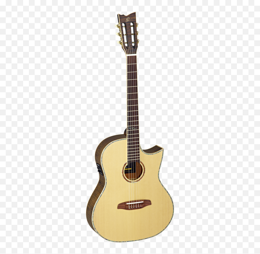 Steveu0027s Music Search - Guitar Png,Hofner Icon Series