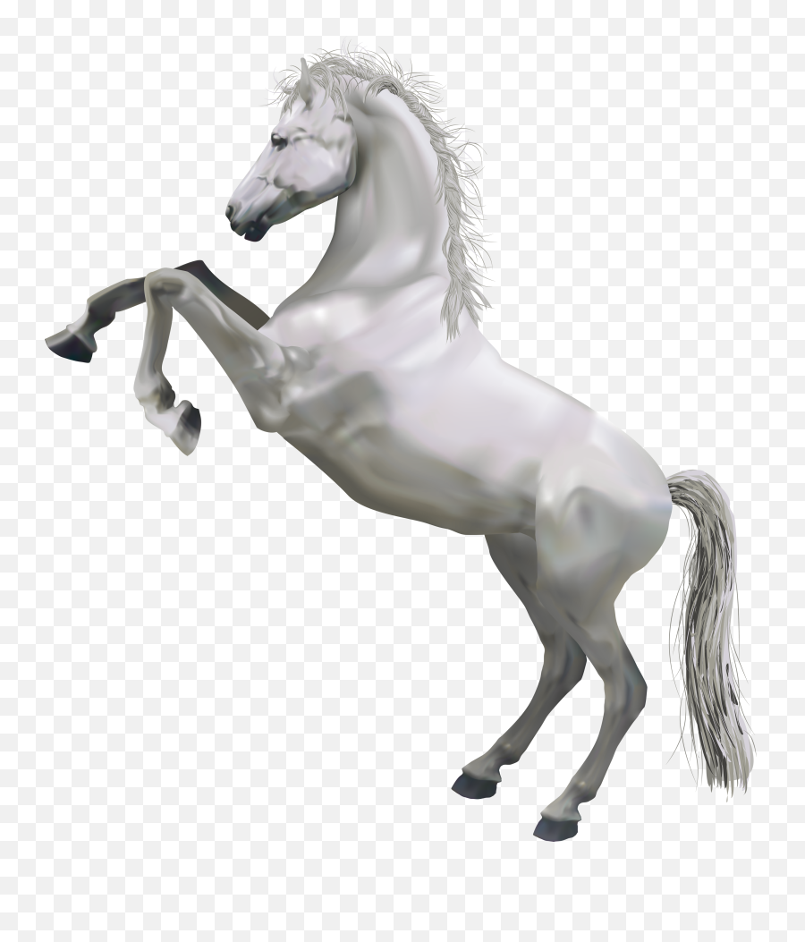 Download Horse Png Image With No - Horse Standing On Hind Legs,White Horse Png
