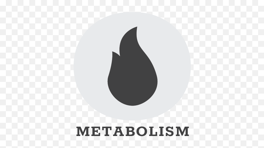 Functional Nutrition Metabolism Science Specialization For - Language Png,Metabolic Icon