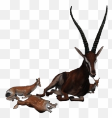 Immerse Roleplaying - Animal Figure png