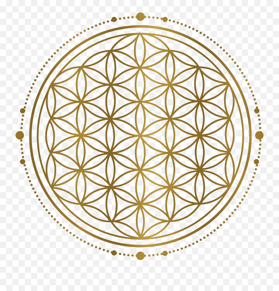 Download Free Png Sacred Geometry - Platonic Solids Flower Of Life,Geometry Png