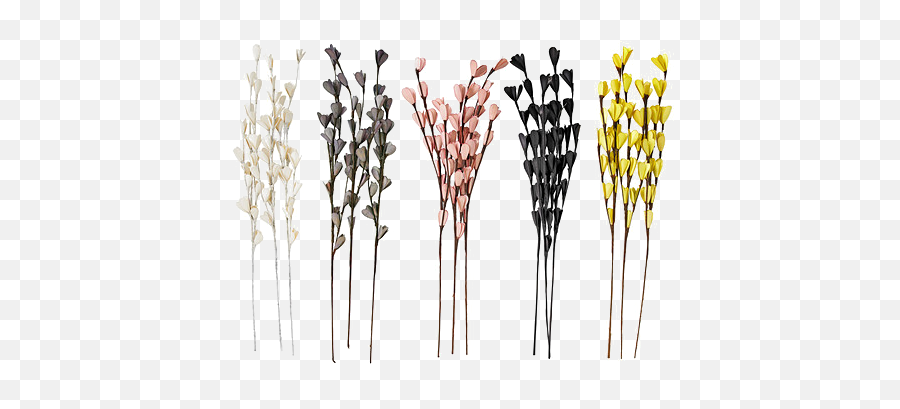 Download Product Flower Bouquet Design Dried Line Hq Png - Transparent Dry Flower Png,Sticks Png