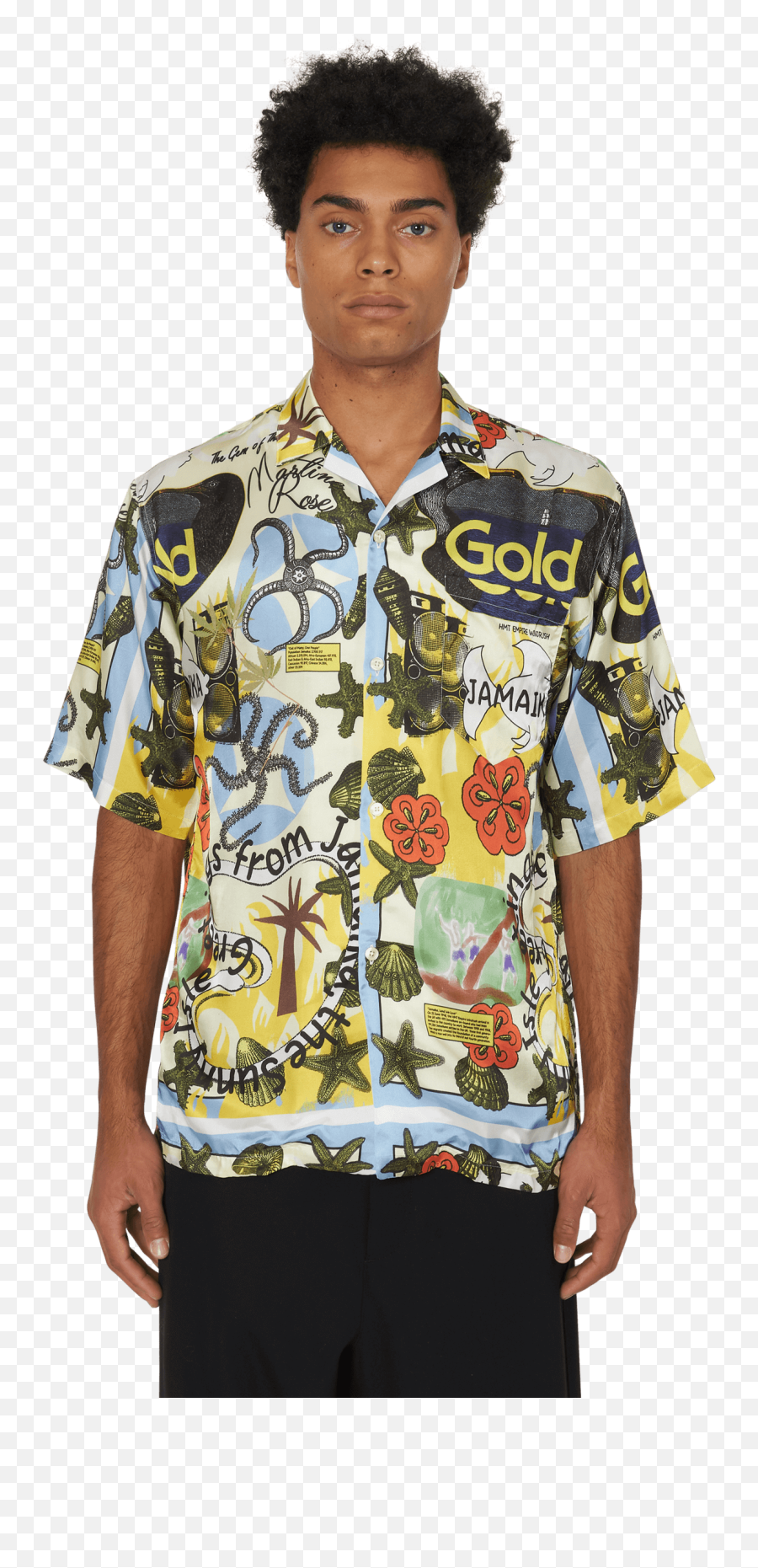 Martine Rose Hawaiian Shirt - Man Png,Hawaiian Shirt Png