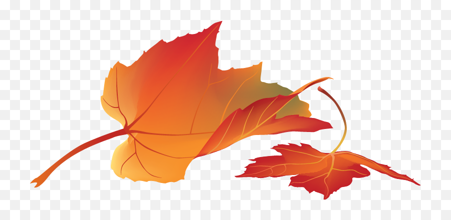 Free Png Autumn Leaves - Konfest Maple Leaf,Autumn Leaves Png