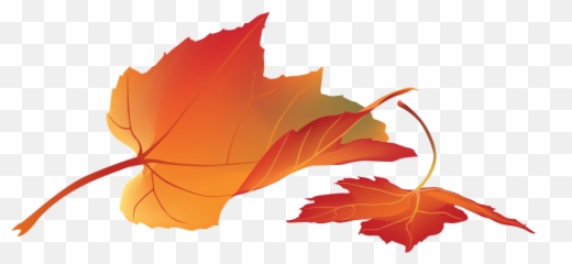 Free Png Autumn Leaves - Konfest Maple Leaf,Autumn Leaves Png
