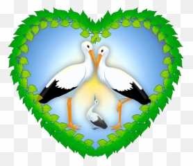 Stork Family Clipart Free Download Transparent Png Creazilla