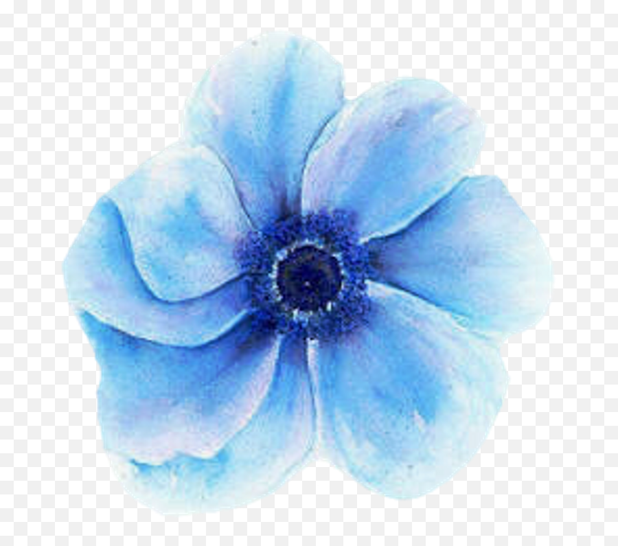 Flappy Bird Background - Blue Watercolor Flower Transparent Blue Watercolor Flowers Transparent Background Png,Blue Flower Transparent Background