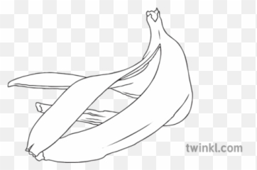 Banana Peel Geography Disposable Waste Food Secondary Bw Rgb - Line Art png